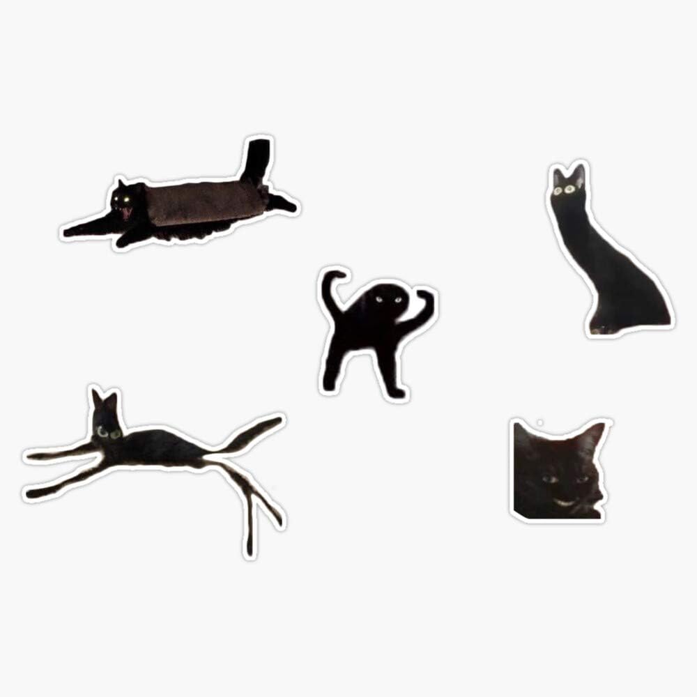 Calcomanías de Parachoques