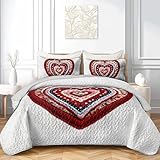 AILONEN Red Knitted Heart Quilt Set Queen Size,Heart Reversible Bedding Sets,Romantic Moment Bedspread Coverlet with 2 Pillowcases,3-Piece,Soft Lightweight Microfiber