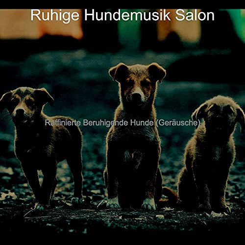 Raffinierte Beruhigende Hunde (Geräusche) by Ruhige Hundemusik Salon on