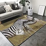 Perfekte Größe: 150 x 200 cm, der große Teppich kann besser an jeden Ort angepasst werden, den Sie verwenden möchten.