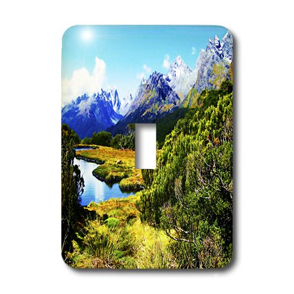 Interrupteur à baïonnette Routeburn Track pour remplacer les plaques ternes