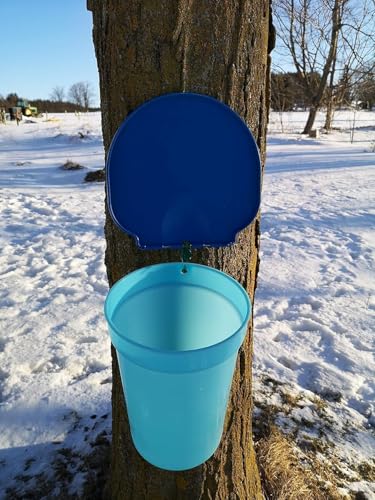Image of Maple Syrup Tapping Kit, 2 Gallon Plastic Buckets, Bucket Lids, 5 /16 inch Tree Saver Spiles /Spouts (5)