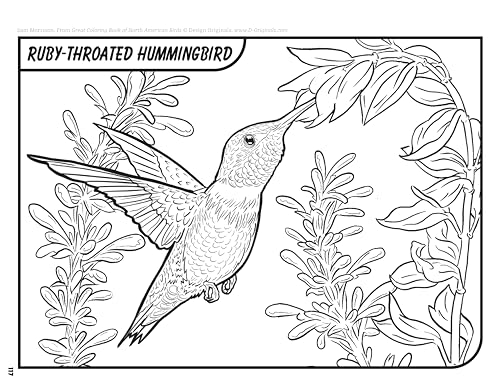Image of Great Coloring Book of North American Birds: 144 Info-Packed Pages to Color & Learn (Design Originals) Realistic Wild Bird Designs and Fun Facts on Perforated Pages - Songbirds, Waterfowl, and More