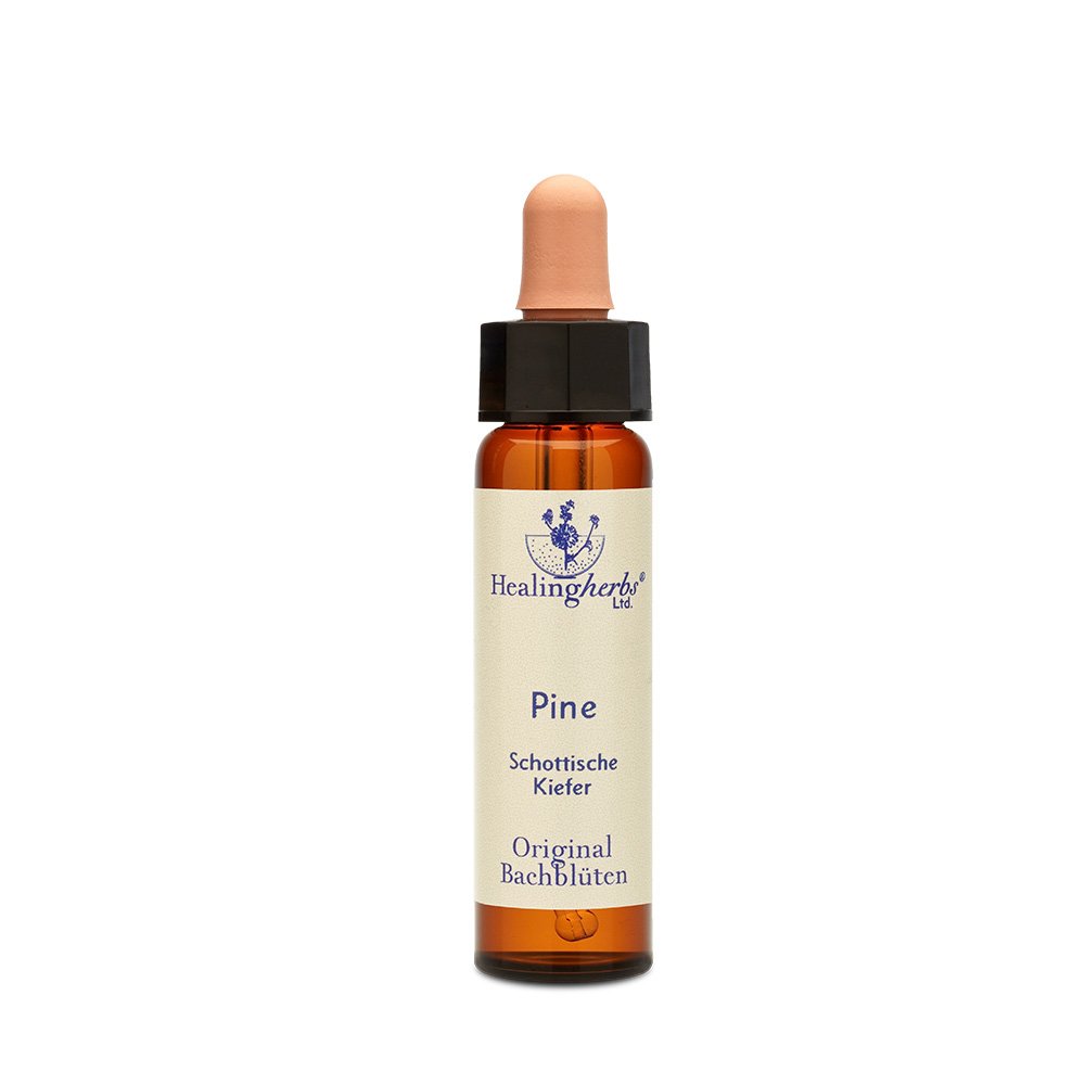 Healing Herbs Bachblüten Pine Tropfen, 10 ml