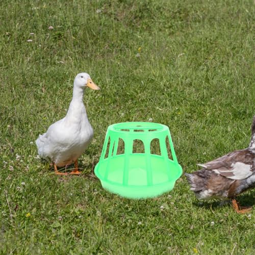Comedero para pollitos y patos pack de 2 tazas de alimentación para corral doméstico 8