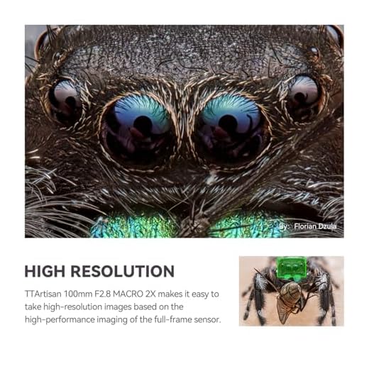 TTArtisan 100mm f/2.8 Macro Lens for RF