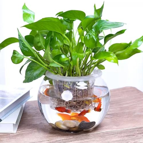 Image of 6 Pack Clear Bubble Bowl Glass Vase, 4.7 inch W x 3.7 inch H Fish Bowl Vase Round Candle Holders Clear Bubble Planter Terrarium Fish Bowl Flower Vases, Decorative Centerpieces for Wedding Home Decor