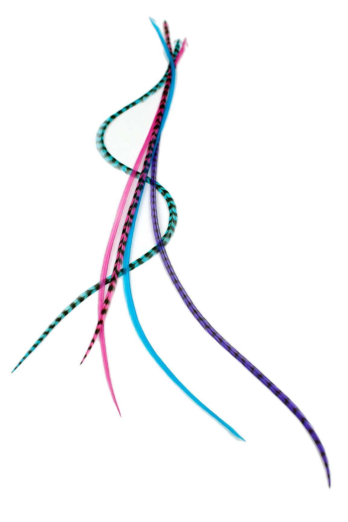 5 XXL 28-33cm extensions de cheveux vraies plumes +anneaux (Berry)