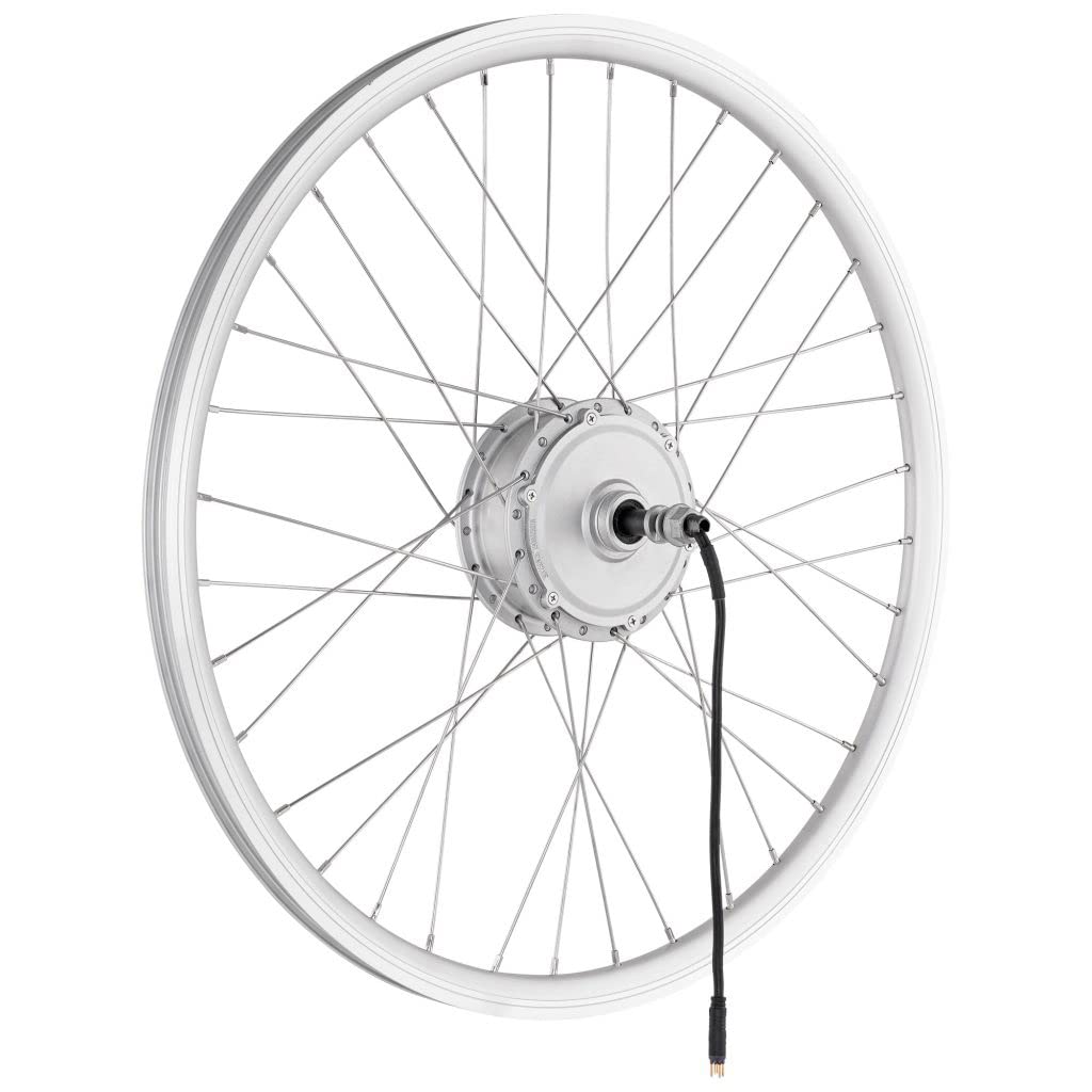 E-Bike Umbausatz, Nabenmotor Hinterrad, Silber, Professional, 20''/26''/28'', 36V/48V, 250W/500W
