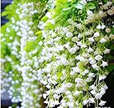 200Pcs White Weeping Jasmine Plant Seeds - Fragrant Perennial Non-GMO Jasmine Flower Seeds for Indoor & Outdoor Planting, Home Garden & Balcony Decor