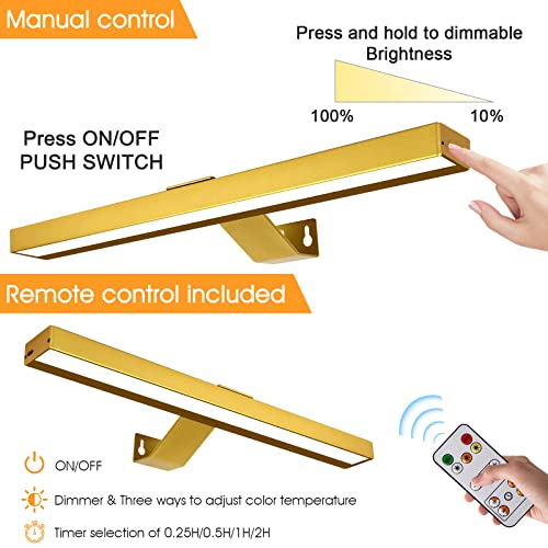Luz de imagem sem fio operada por bateria, luz de imagem recarregável de 40,6 cm com controle remoto