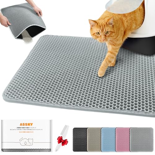 Assky LgC}bgAL}bghLbg^[}bgAdwEVAAL傫ȃObhAAh~AȒPȑ|A6FWJA7TCYΉA2025N