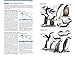 Seabirds: The New Identification Guide