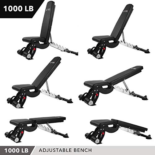 DAY1 FITNESS Adjustable Weight Bench, 1000 lb by D1F for Strength Training -Incline, Decline, Flat Workout Benches for Lifting, Flies, Chest Press, Dips -Utility Equipment for Personal, Commercial Gym
