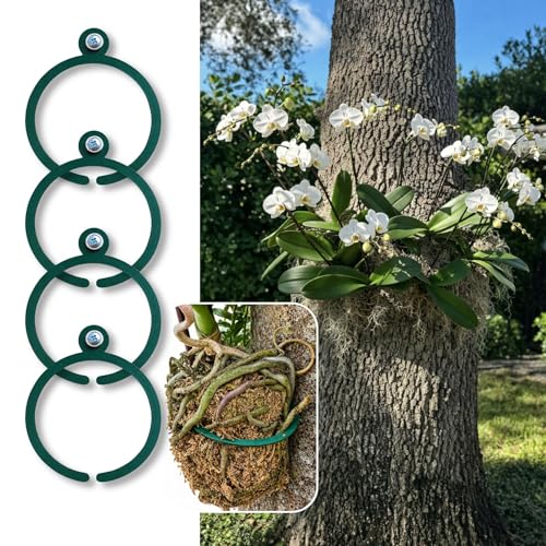 OrchidHug Universal Orchid Mounting Ring Open Adjustable Design Fits All Orchid Sizes | Mount Orchids on Trees or Walls | Flexible Green Coated Steel with Stainless Screws | Easy Install | 4 Pack