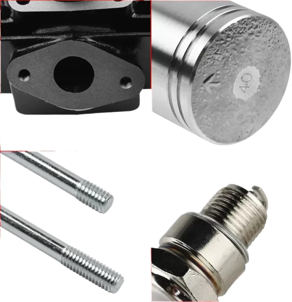 50cc Engine Cylinder Kit Piston Rings Gasket Repair Set Compatible With PW 50 PW50 QT 50 QT50 Dirt Bike Youth Bike Motorcycle