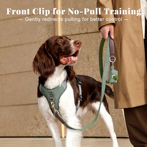 Image of Didog No Pull Dog Harness for Medium Dogs, Classic PU Leather, Green, M