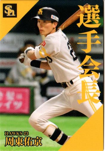 Amazon.co.jp: カルビー2024 プロ野球チップス 第2弾 選手会長カード