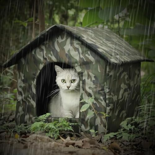 CokBluOLLbgnEX OLnEX OybgnEX ~phdl J悯hhJ@\t ǔL̔ƂčœK L~΍ɓ ~p\ ǔLVF^[ L̉ƃeg^Cv Oɑςϋv JVL 