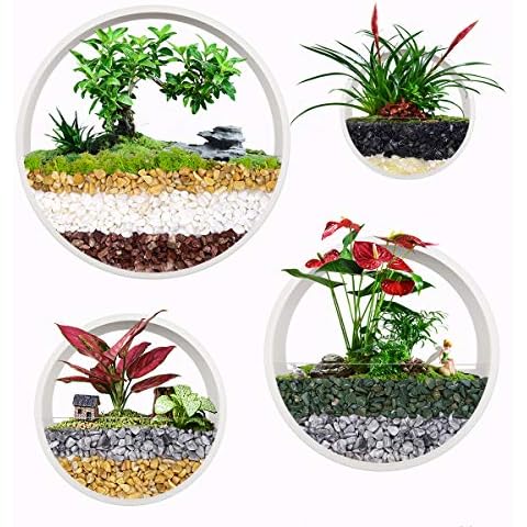 Ecosides Set of 4 White Round Wall Hanging Plant Terrarium Air Plant Holder Wall Hanging Container Succulent Plant Pots in Mixed Size Cover