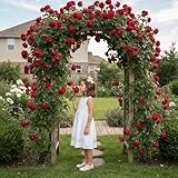 DUTCH BULBS EXCLUSIVE PLANTS FROM HOLLAND