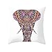 Lieson Coussin 50x50, Housse de Coussin Canapé Blanc Colore Coussins pour Canapé Elephant Ethnique, Polyester