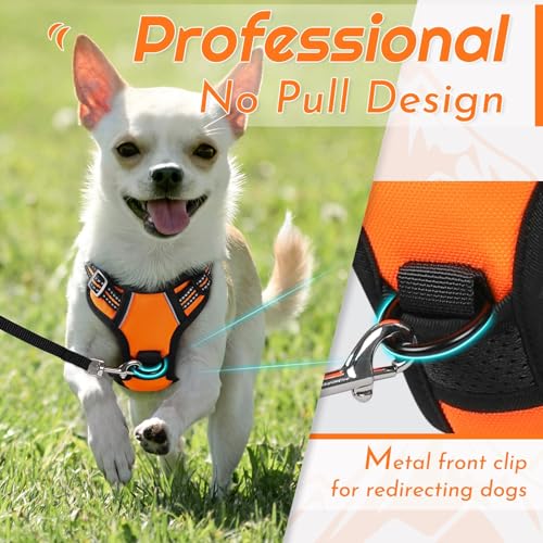 Image of Eagloo Dog Harness for Small Dogs, No Pull Pet Vest with 2 Leash Clips