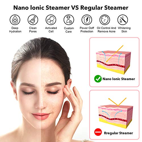 Portable Facial Steamer Nano Face Steamer Warm Mist Home Skin Spa Steamers For Sinuses Acne Pores Cleanse Blackhead Remover Kit Mask Brush #TOP1