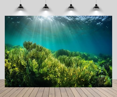 CHNYWORK 15ftx10ft Underwater Seascape Backdrop Under The Sea Aquarium Algae on The Ocean Floor with Natural Sunlight Background Mermaid Theme Birthday Party Decorations Baby Shower Photo Props