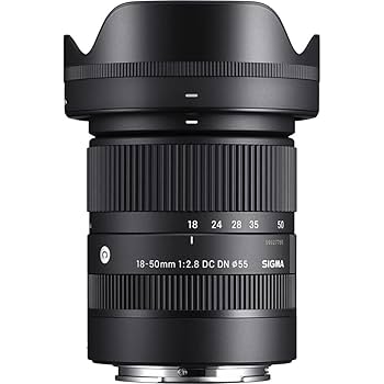 Amazon.co.jp: シグマ(Sigma) レンズ 18-50mm F2.8 DC DN Sony
