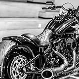 Hoprousa Motorcycle Fender Heavy Duty New Short Rear Fender With Lights Plugged-in Glossy Black Fit...