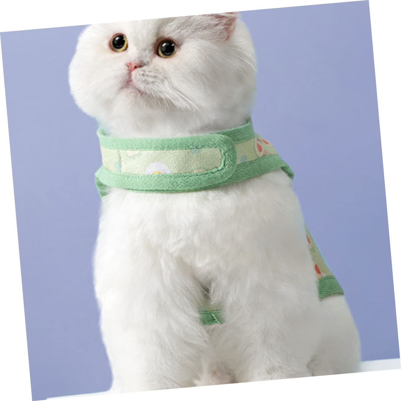SUPVOX 4 Set Di Gilet Per Cani Con Guinzaglio Gilet in Rete Per Gatti E Cuccioli Portatile E Robusto