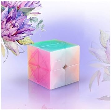 Personalized 2x2x2 Jelly Labelless Puzzle Cube 3x3x3 Magic Speed Cube 4x4x4 Cube 5x5x5 Qiyi Cube Educational Toy Color 2x2