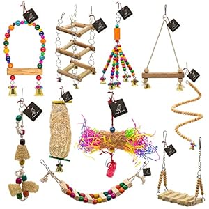 PETZOO Bundle of 10 Birds Toys Paper Shredded Foraging Chew, Swing, Mesh Toys, Perch, Spiral Hanging