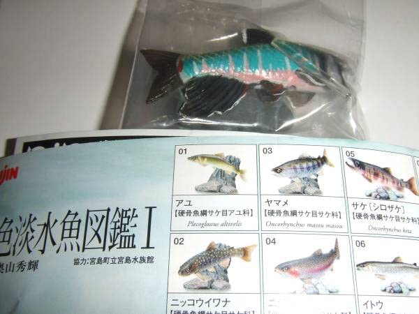 Amazon.co.jp: 原色淡水魚図鑑Ⅰ(初版)【オイカワ】YUJIN Amazon.co.jp: 原色淡水魚図鑑Ⅰ(初版)【オイカワ】YUJIN