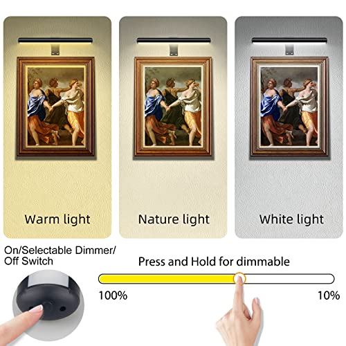 Picture Light Battery Operated, 16Inch Rechargeable Picture Frame Light With Remote, Cordless Picture Lights For Paintings, Dimmable Led Art Display Lamp For Dartboard Wall Artwork Portrait-Black #TOP1