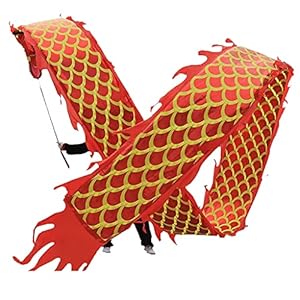 Dubbelzijdige Fitness Dragon Dance Linten Chinese Sport Linten Gazons Oefen Streamers voor Beginners