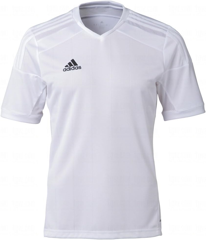 OH MY GIRL WINDY DAY 直筆サイン入りA5カード