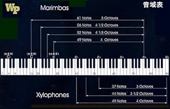 鍵盤楽器 Shakmat white gallop 鍵盤楽器 Shakmat white gallop Shakmat Modular Knight's