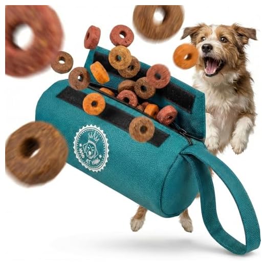 HUND IST KÖNIG Premium Apportierdummy für Hunde, Futterdummy für Hunde-Leckerlie, idealer Futterbeutel für das Hunde-Training oder Welpen-Erziehung, mit gratis ebook (Himmelblau)