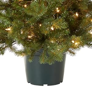 National Tree Company 'Feel Real' Artificial Christmas Tree For Entrances| Includes White Lights and Stand | Hampton Spruce - 3 ft National Tree Company Feel Real Artificial Christmas Tree For Entrances Includes White Lights and Stand Hampton Spruce 3 ft