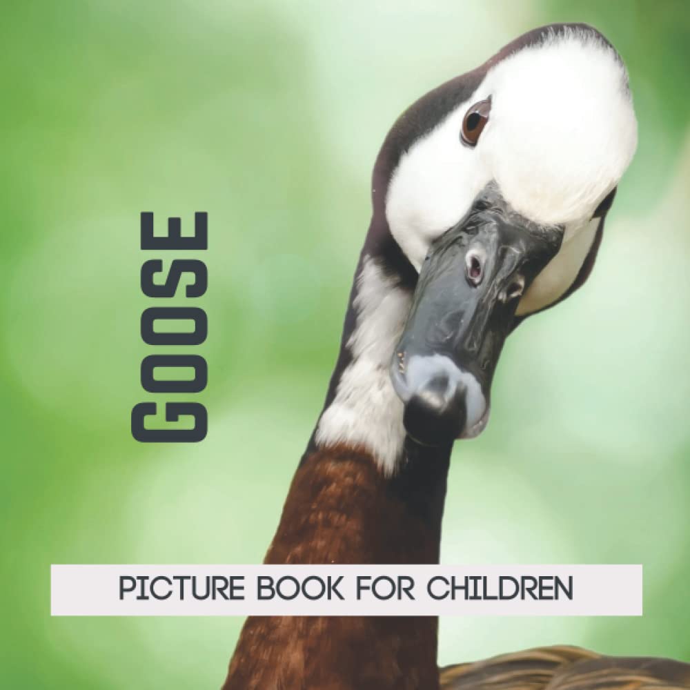 Picture book for children -Goose: Discovering Goose in pictures - Children 2 to 5 years old