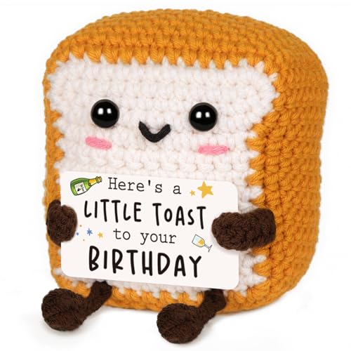 Glydein Positive Birthday Gifts for Women Men—A Little Toast to You, Cute Handmade Crochet Toast...