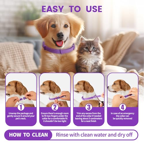 Image of Calming Dog Collar - Fast-Acting, Lasts 60 Days, Choke-Free Design, Pheromone-Infused for Anxiety & Stress Relief, Ideal for Separation Anxiety - Fits Small, Medium & Large Dogs (Black, 1 Pack)