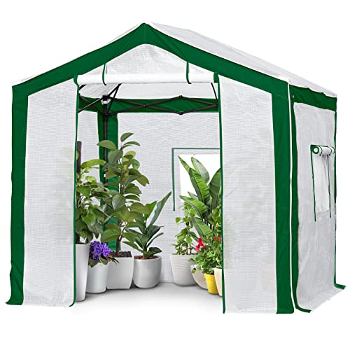 Image of EAGLE PEAK 8x8 Walk in Pop Up Greenhouse, Green /White