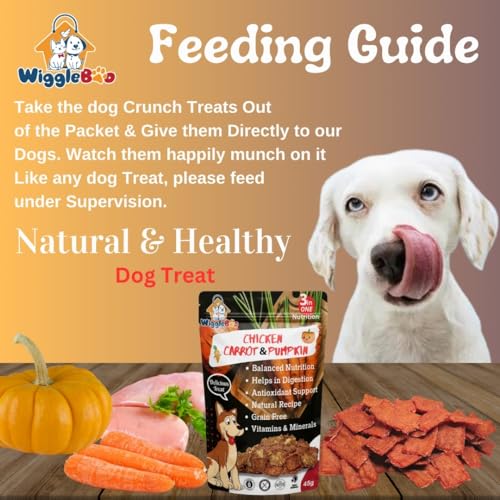 Image of Chicken, Carrot & Pumpkin Dog Treat | Protein Rich | Natural Detoxifier | Crunchy Snack (45g)