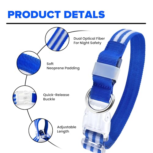 Feycig Leuchthalsband Hund USB Aufladbar - LED Hundehalsband Leuchtend Wasserdicht Leuchtendes Hunde Halsband Einstellbare für Kleine Mittlere Große Hunde, 3 Modi