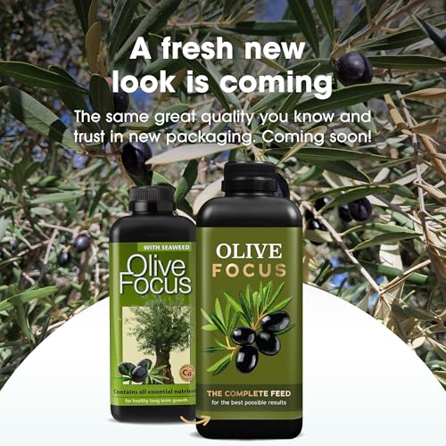Olive Focus alimento líquido para plantas 1 L miniatura 2