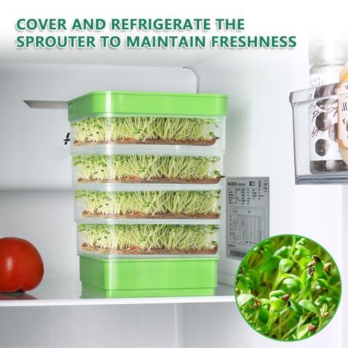 Kit de Germinação de Sementes Bandeja de Mudas Empilhável Bandeja de Germinação de Sementes Com Econ