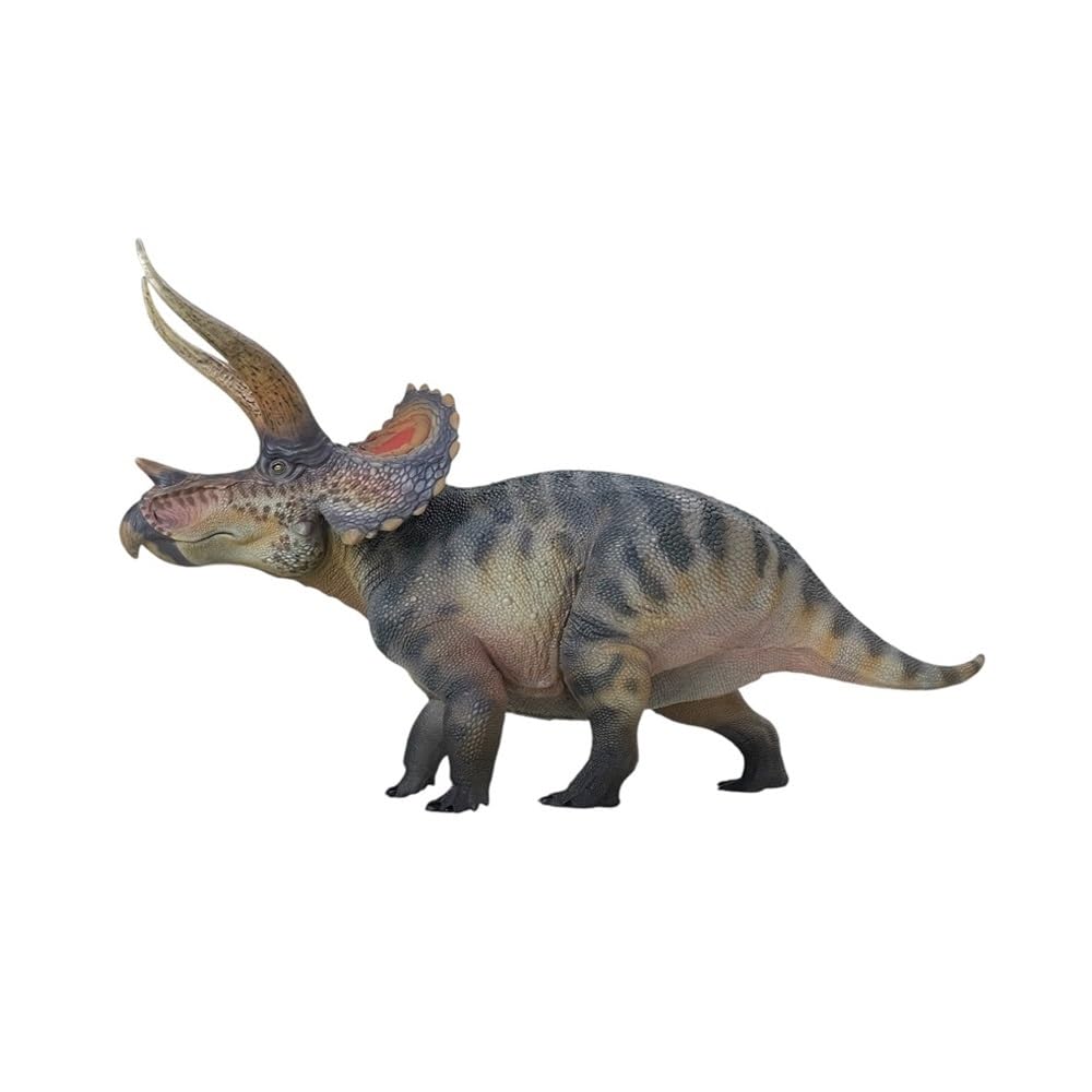 Amazon.com: XINPANYIAN 1/35 HAOLONGGOOD Triceratops Prehistoric